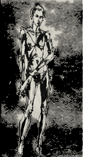 Standing figure study
